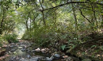 Foto de inmueble en https://www.google.com.mx/maps/search/SAN+SIMON+VALLE+DE+BRAVO/@19.1611117,-100.047103,1009m/data=!3, Col. Valle de Bravo C.P. 51200, Valle de Bravo
