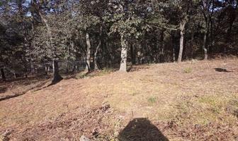 Foto de inmueble en SAN MARTIN CACHIHUAPAN KILOMETRO, Col. Villa del Carbón C.P. 54300, Villa del Carbón