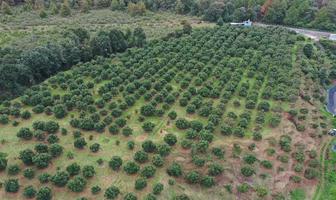 Foto de inmueble en Carretera a Morelia, Col. Cerro Verde C.P. 58095, Morelia
