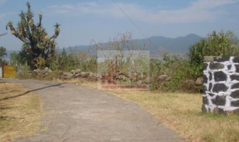 Foto de inmueble en Predio Rústico denominado "Rancho Ocurio", ubicado en el poblado de Tzintzuntzan S/N, Col. Francisco Zarco C.P. 58147, Morelia