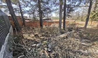 Foto de inmueble en Acacia, Col. Pablo Galeana C.P. 58341, Morelia
