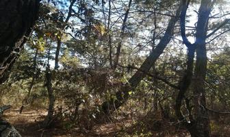 Foto de inmueble en Tzintzuntzan #Sn, Col. Tzintzuntzita C.P. 58446, Tzintzuntzan