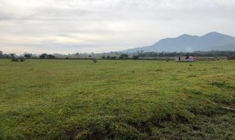 Foto de inmueble en , Col. Tzurumutaro C.P. 61615, Pátzcuaro