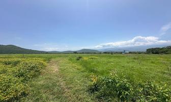 Foto de inmueble en Pino, Col. 13 de Septiembre C.P. 12555, Yautepec