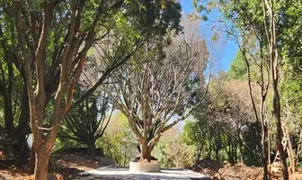 Foto de inmueble en Primavera #100, Col. Ahuatepec C.P. 62300, Cuernavaca