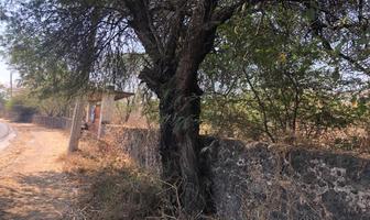 Foto de inmueble en Sin nombre de calle, Col. Amador Salazar C.P. 62776, Tlaltizapán de Zapata