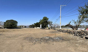 Foto de inmueble en Carretera Federal México-Oaxaca, Col. Amayuca C.P. 62972, Jantetelco