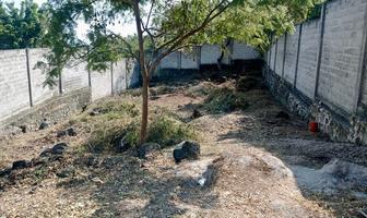 Foto de inmueble en Postes de luz, Col. Ampliación 3 de Mayo C.P. 62763, Emiliano Zapata