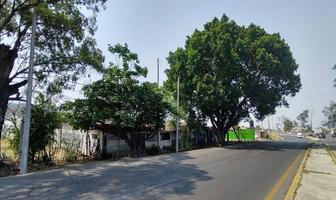 Foto de inmueble en Carretera, Col. Atlatlahucan C.P. 62840, Atlatlahucan