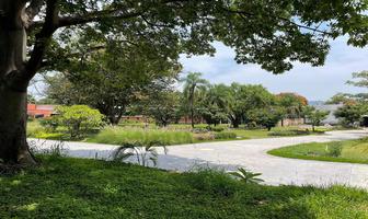 Foto de inmueble en Privada Dr José Parres S/N, Col. Centro Jiutepec C.P. 62550, Jiutepec