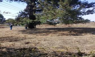 Foto de inmueble en carretera federal chalco-cuautla km 47.5, Col. Centro C.P. 62740, Cuautla
