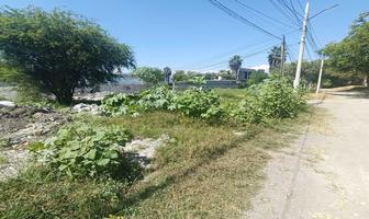Foto de inmueble en Calle del canal, Col. Centro de Readaptación Social de Atlacholoaya C.P. 62793, Xochitepec