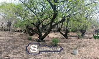 Foto de inmueble en TEPOZTLAN #S/N, Col. Chichco (Chisco) C.P. 62525, Tepoztlán