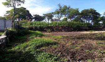 Foto de inmueble en , Col. Civac C.P. 62578, Jiutepec