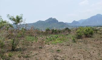 Foto de inmueble en tlayacapan, Col. De Texcalapan C.P. 62540, Tlayacapan