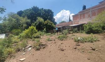 Foto de inmueble en tlayacapan, Col. De Texcalapan C.P. 62540, Tlayacapan