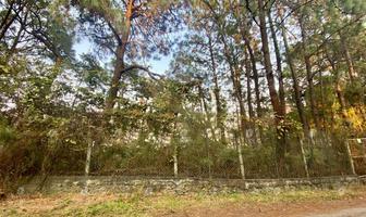 Foto de inmueble en Venta Terreno en  Fraccionamiento Del Bosque, Cuernavaca - T65, Col. Del Bosque C.P. 62150, Cuernavaca