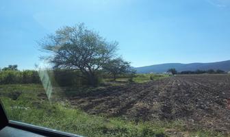 Foto de inmueble en Campo Chamilpa, Col. Diego Ruiz C.P. 62739, Yautepec