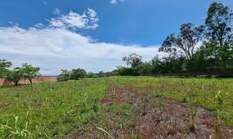 Foto de inmueble en Lote 200, Col. El Venadito C.P. 62715, Ayala