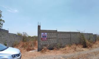 Foto de inmueble en Camino de las Dos Gomas, col. Santa Úrsula, Col. Eterna Primavera C.P. 62595, Temixco