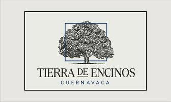 Foto de inmueble en Tierra de Encinos, Col. Gloria Almada de Bejarano C.P. 62304, Cuernavaca