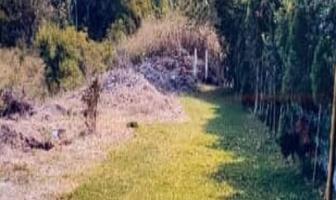 Foto de inmueble en Huertas de Cuautla, Ayala, Morelos, Col. Huertas de Cuautla C.P. 62715, Ayala