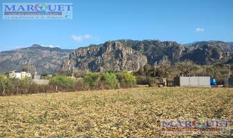 Foto de inmueble en Venta de Terreno Tepoztlan, Morelos $10,764,800, Col. Huilotepec C.P. 62525, Tepoztlán