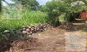 Foto de inmueble en KM2 Alpuyeca - Grutas DE Cacahuamilpa, Alpuyeca, Xochitepec Morelos, Col. Humberto Gutiérrez Corona C.P. 62797, Xochitepec
