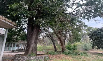 Foto de inmueble en Ixtlahuacan #00, Col. Ixtlahuacan C.P. 62732, Yautepec