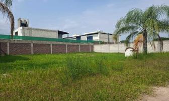 Foto de inmueble en campo la concepción, Col. Ixtlahuacan C.P. 62732, Yautepec