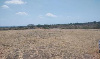 Foto de inmueble en BIZBAGa #7, Col. La Biznaga C.P. 62743, Cuautla