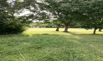 Foto de inmueble en Esteros #55, Col. Lomas de Cocoyoc C.P. 62847, Atlatlahucan