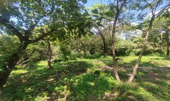 Foto de inmueble en ahuehuete, Col. Lomas de Oaxtepec C.P. 62738, Yautepec