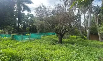 Foto de inmueble en Gobernador de Jalisco #S/N, Col. Lomas del Mirador C.P. 62350, Cuernavaca