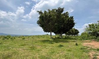 Foto de inmueble en , Col. Lomas del Potrero C.P. 62732, Yautepec