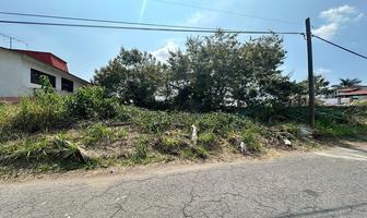 Foto de inmueble en Mirador, Col. Los Reyes C.P. 62840, Atlatlahucan