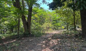 Foto de inmueble en C. Constitución, Col. Oacalco C.P. 62737, Yautepec