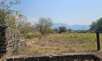 Foto de inmueble en ejido de santa ines Oacalco, Col. Oacalco C.P. 62737, Yautepec