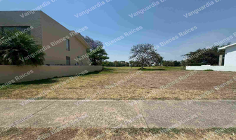 Foto de inmueble en Emiliano Zapata, Col. Paraíso Country Club C.P. 62766, Emiliano Zapata