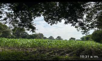 Foto de inmueble en Camino Real a Cocoyoc, Col. Peña Flores (Palo Verde) C.P. 62756, Cuautla
