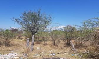 Foto de inmueble en Sin nombre de calle, Col. Plan de Ayala C.P. 62743, Cuautla