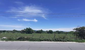 Foto de inmueble en PUXTLA, Col. Puxtla C.P. 62755, Cuautla