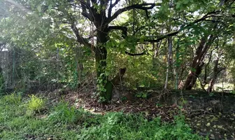 Foto de inmueble en REAL DE OAXTEPEC #S/N, Col. Real de Oaxtepec C.P. 62738, Yautepec