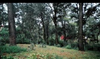 Foto de inmueble en , Col. San José de La Montaña C.P. 62510, Huitzilac