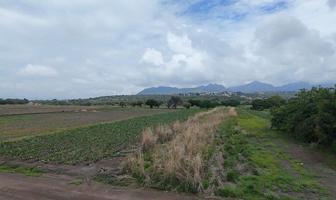 Foto de inmueble en , Col. San Juan Texcalpan C.P. 62847, Atlatlahucan