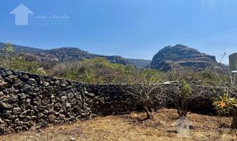Foto de inmueble en Terreno en Venta en Privada con Portón en Tepoztlán Morelos con Vista Panorámica, Col. Santo Domingo Ocotitlán C.P. 62524, Tepoztlán