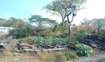 Foto de inmueble en Tecolala, Col. Tetecolala (Amp. Civac) C.P. 62529, Tepoztlán