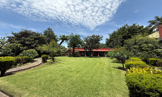 Foto de inmueble en Los mangos, Col. Tlaltenango C.P. 62170, Cuernavaca