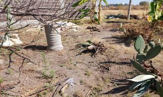 Foto de inmueble en Sin nombre de calle, Col. Vicente Guerrero C.P. 62748, Cuautla