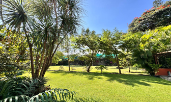 Foto de inmueble en , Col. Vista Hermosa C.P. 62290, Cuernavaca